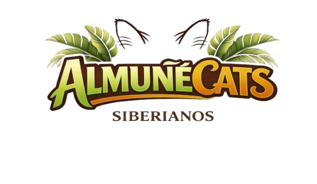 AlmuñéCats Siberianos